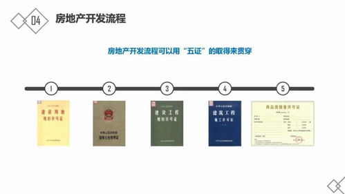 房地产基础与开发流程详解 兼论软件开发与技术推广